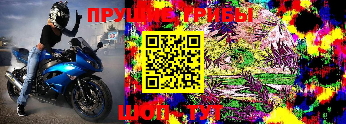 Псилоцибиновые грибы GOLDEN TEACHER Луга